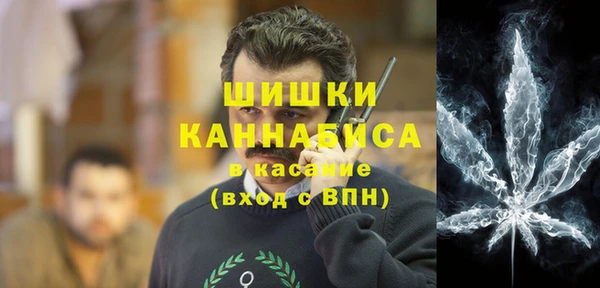 МДПВ Тайга