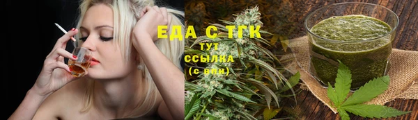 МДПВ Тайга