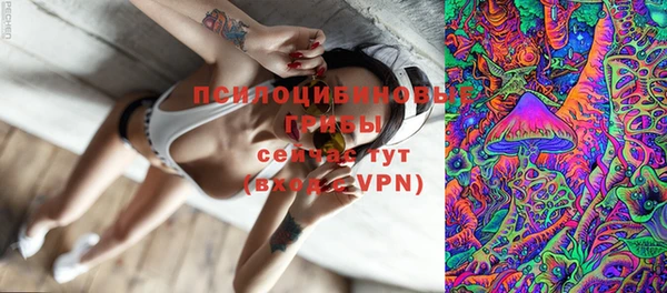 меф Сясьстрой