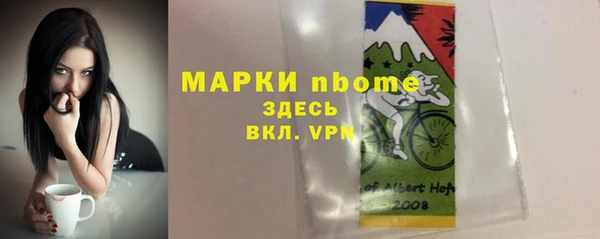 МДПВ Тайга