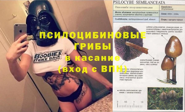меф Сясьстрой