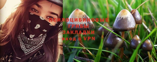 меф Сясьстрой