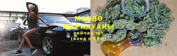 МДПВ Тайга