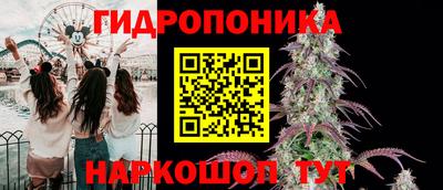 ПСИЛОЦИБИНОВЫЕ ГРИБЫ Волжский