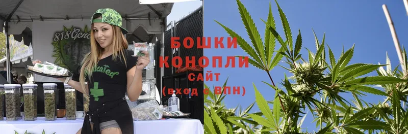 закладки  Удомля  Каннабис SATIVA & INDICA 